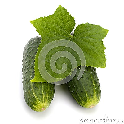 Cucumber Stock Photo