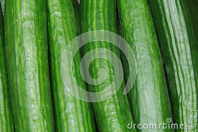 Cucumber Stock Photo