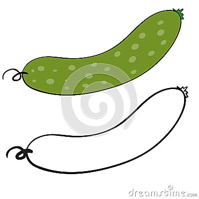 Cucumber in color and without color in the contour, isolated object on a white background, vector illustration, Vector Illustration