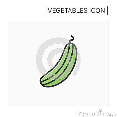 Cucumber color icon Vector Illustration