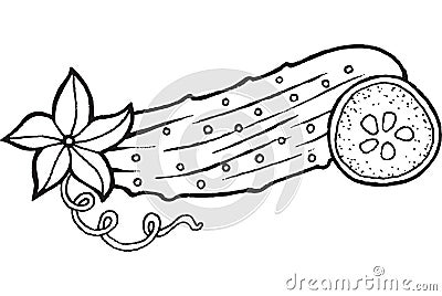 Cucumber coloring page hand drawn illustration Vector Illustration