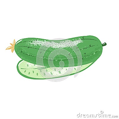 Cucumber composition - whole and cut in half Vector Illustration