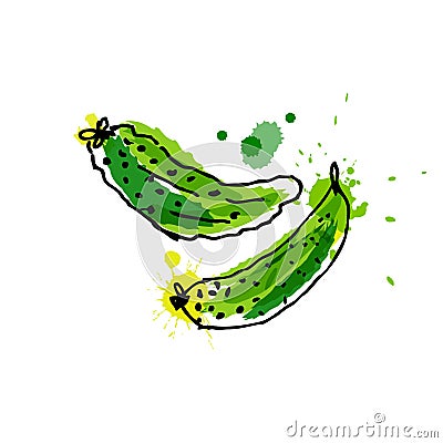 Cucumber, drawing by watercolor and ink with paint splashes on white background. Vector Illustration