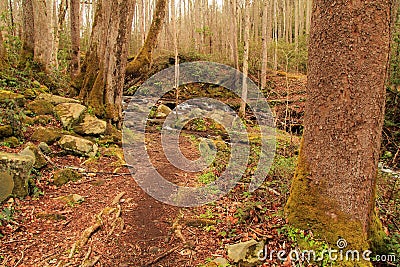 Cucumber Gap Trail Stock Photo