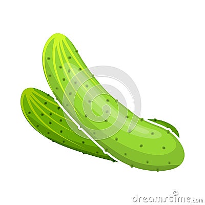 Cucumber Icon Vector Illustration