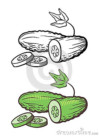 Cucumber illustration Vector Illustration