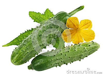 Cucumber with leaf Stock Photo