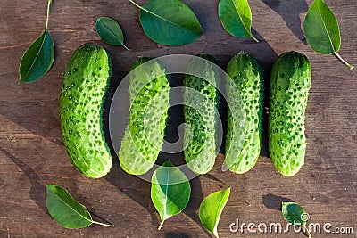 Cucumber and leaf on wood Stock Photo