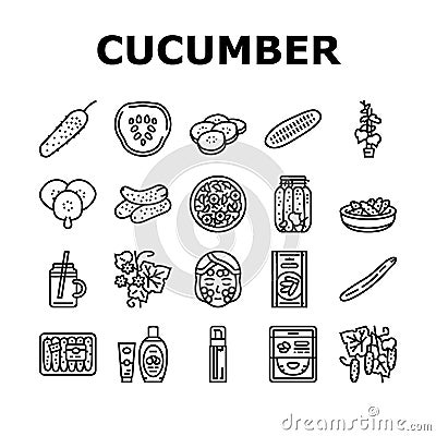 Cucumber Natural Bio Vegetable Icons Set Vector Vector Illustration