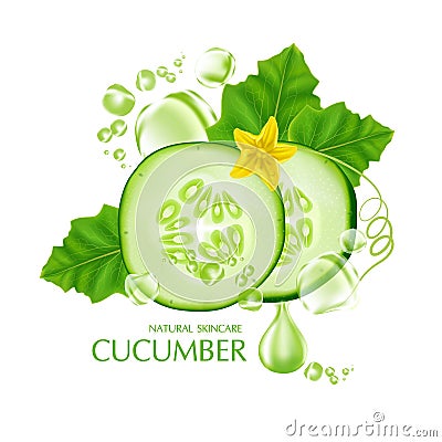 Cucumber Natural Moisture Skin Care Cosmetic vector illustration Vector Illustration