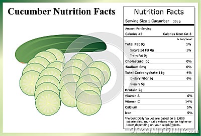 Cucumber Nutrition Facts Vector Illustration