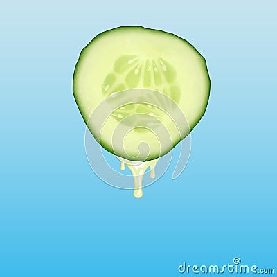 Cucumber Vector Illustration