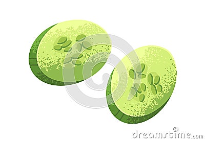 Cucumber slices. Fresh green vegetable, cut pieces, sections with seeds composition. Healthy raw food. Textured stylized Vector Illustration