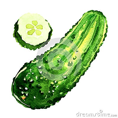 Cucumber and slices isolated on white background Stock Photo