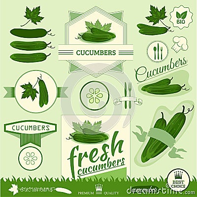 Cucumber, Vector Illustration