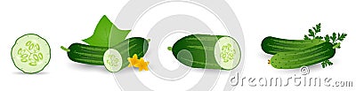 Cucumbers in cartoon style set. Whole cucumber, half, slices and cucumbers group. Fresh farm vegetables collection Vector Illustration