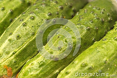 Cucumbers extreme closeup diagonal view Stock Photo