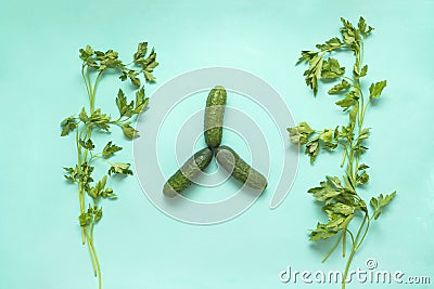 3 cucumbers, parsley bunches on a green background, vegetables a Stock Photo