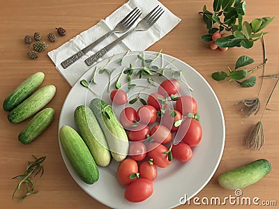 Cucumbers, tomatoes on plate, sunflower sprouts Stock Photo