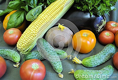 Cucumbers yellow corn tomatoes fresh organic natural traditional season product longevity gourmet delicious diet green leaves back Stock Photo