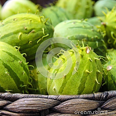 Cucumis anguria, cackrey,maroon cucumber, West Indian gherkin and West Indian gourd. Deco-Fruits yellow and green colors. Stock Photo