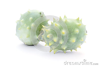 Cucumis carolinus, African wild spiny cucumber, exotic ornament Stock Photo