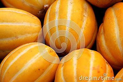 Cucumis melo var. conomon, Korean star melon Stock Photo