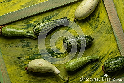 Cucurbita green assortment on green background Stock Photo