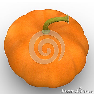 Cucurbita maxima Stock Photo