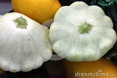 Cucurbita pepo, White pattypan squash Stock Photo