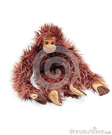 Cuddly monkey Stock Photo