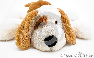 Cuddly soft toy puppy Stock Photo