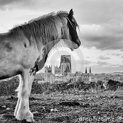 A cuddy overlooks the historic Coal mining capital of Durham City Stock Photo