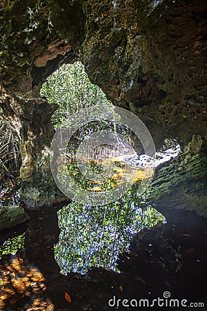 Cueva Musulmanes, Varadero, Cuba Stock Photo