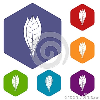 Culinary bay leaves icons set hexagon Vector Illustration