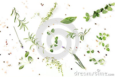 Culinary herbs and spices, shot from the top on a white background Stock Photo