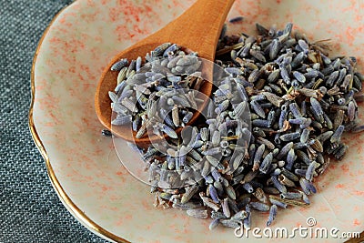Culinary lavender Stock Photo