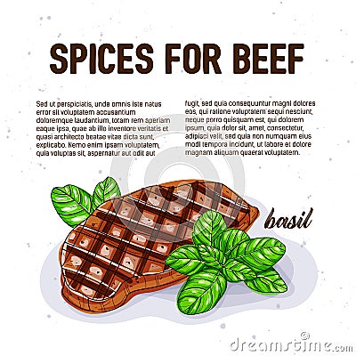 Culinary spice for beef basil culinary herb spices Cartoon Illustration