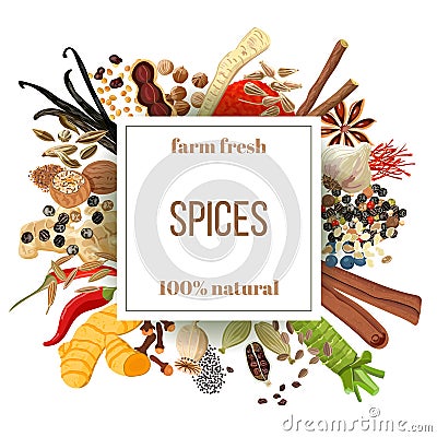Culinary spices big set under squire emblem Stock Photo