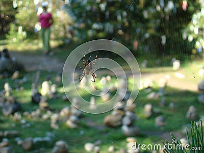 Cult glade in Buryatia through the web. Stock Photo