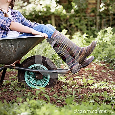 Cultivate Garden Nature Seasonal Growth Concept Stock Photo