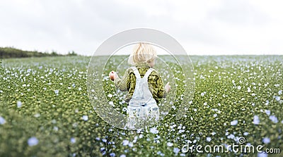 Cultivate Garden Nature Seasonal Growth Concept Stock Photo