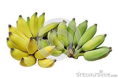 Cultivated banana or Thai banana isolated on white background Stock Photo