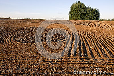 Cultivated farm field agriculture landscape Stock Photo