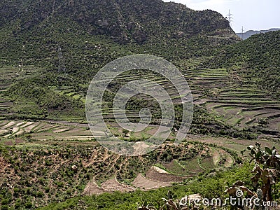 Cultivated farmland in mountain landscape, Ethiopia Stock Photo