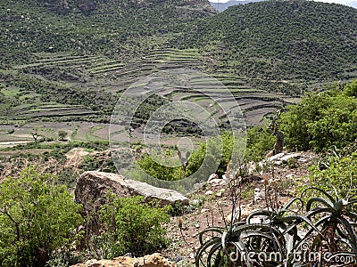 Cultivated farmland in mountain landscape, Ethiopia Stock Photo