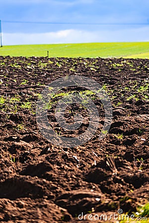 Cultivated field freshly ploughed by sunny day Stock Photo