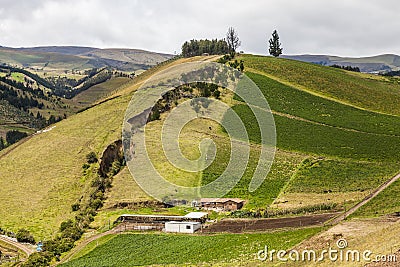 Cultivated fields on slopes Stock Photo