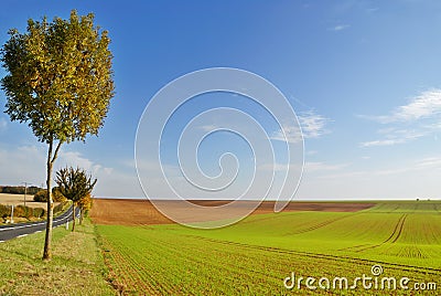 Cultivated land Stock Photo