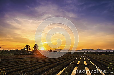 Cultivated land in a rural landscape at sunset Stock Photo